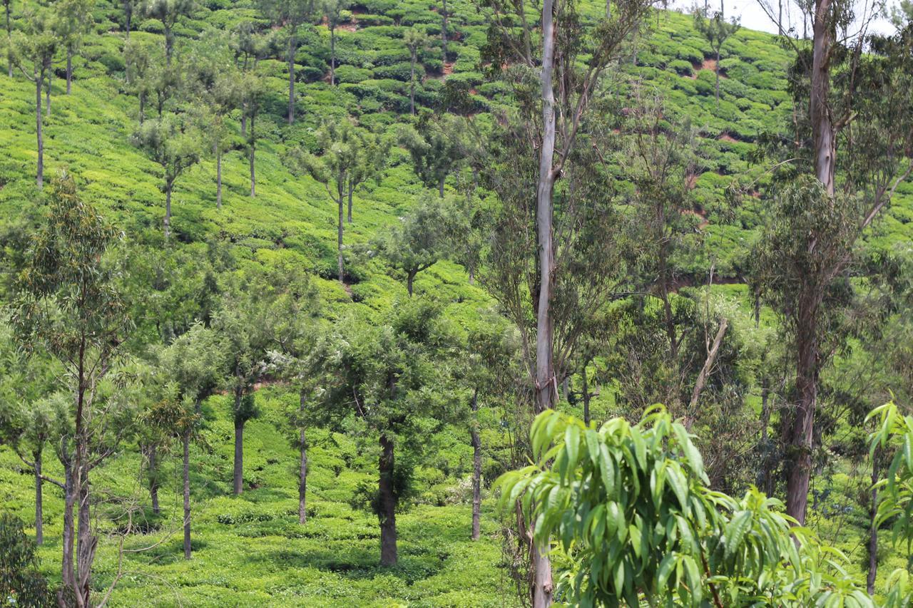 Rustling River Resort Ooty Esterno foto