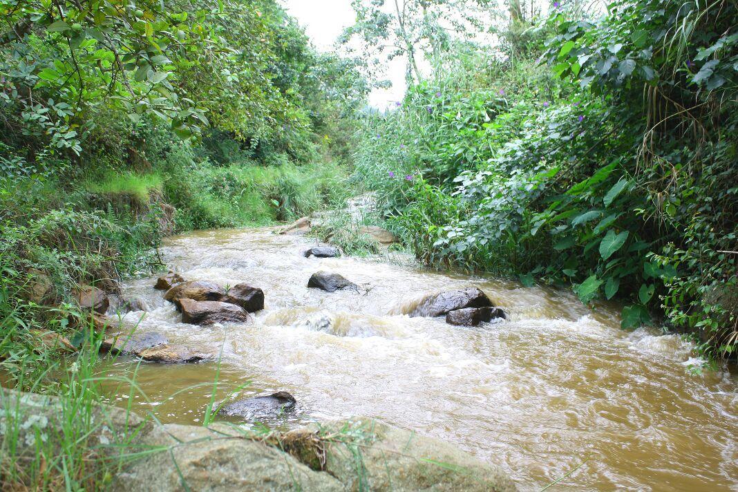 Rustling River Resort Ooty Esterno foto